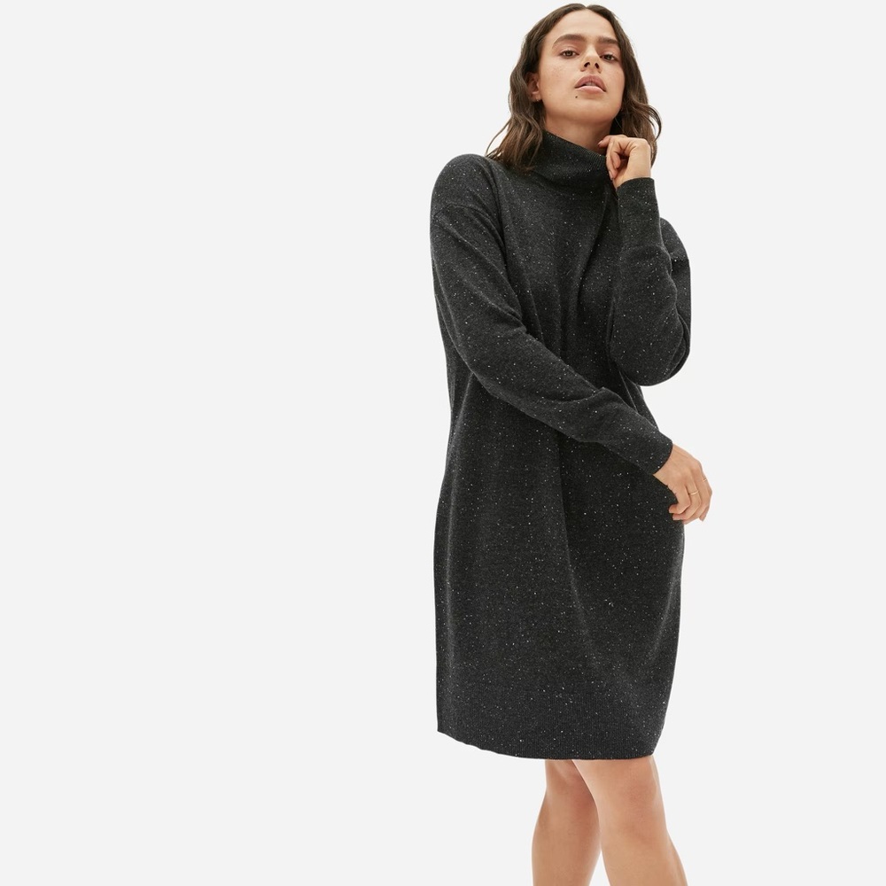 THE CASHMERE TURTLENECK DRESS